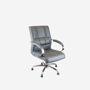 Selen Misafir Koltuğu